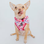 Adjustable Dog Harness product image 6
