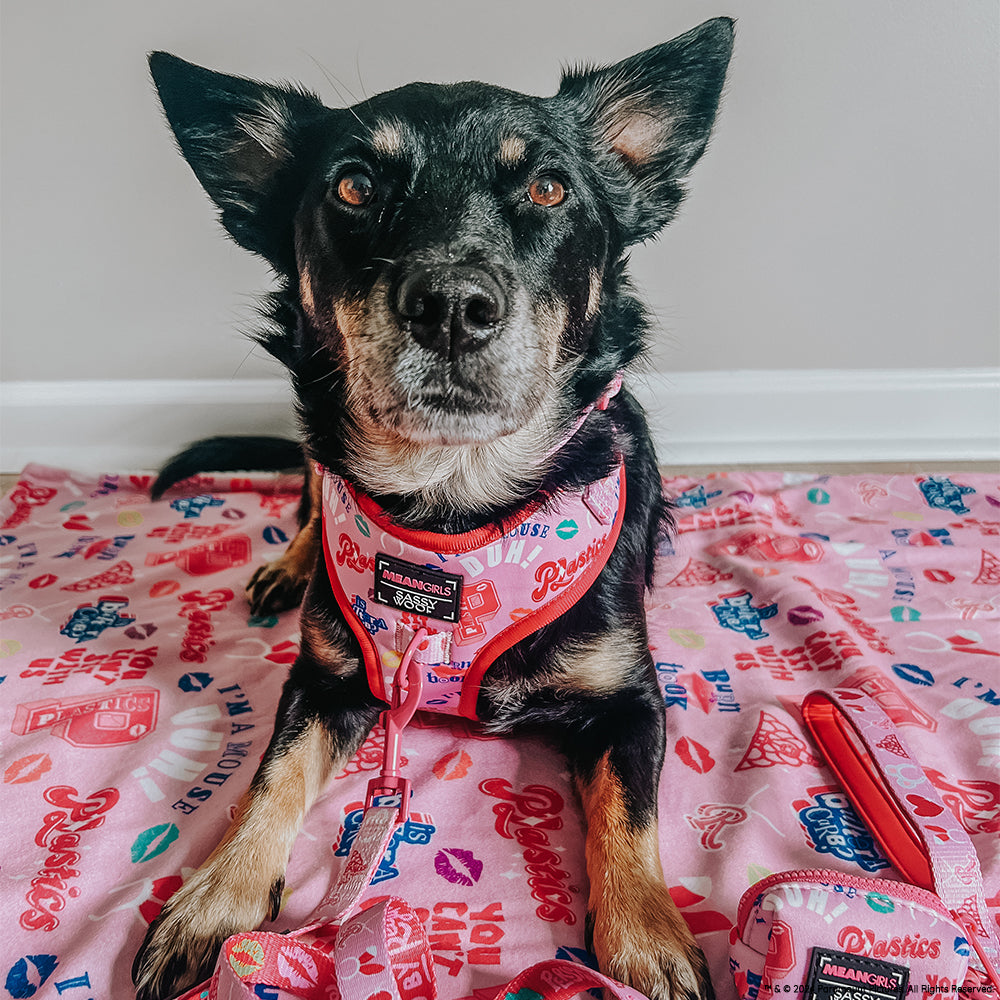 Adjustable Dog Harness product image 7