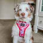 Adjustable Dog Harness product image 8