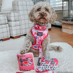 Adjustable Dog Harness product image 9