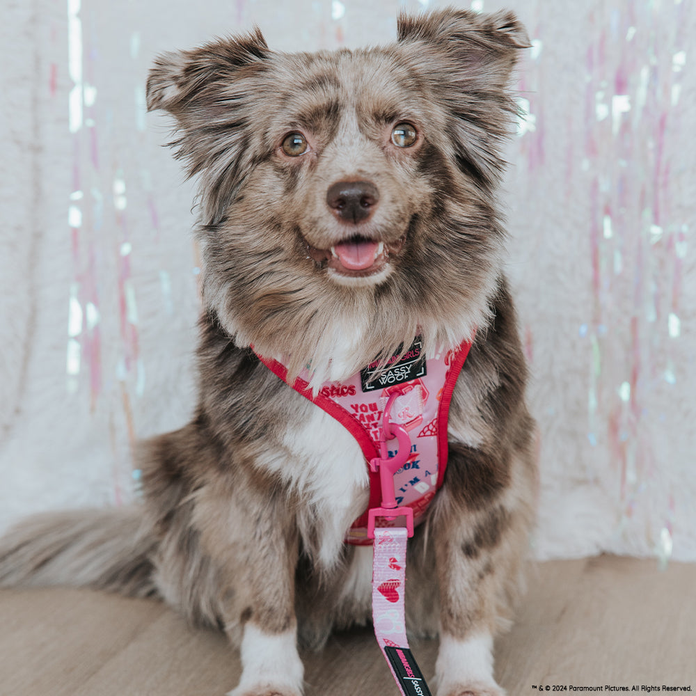 Adjustable Dog Harness product image 11