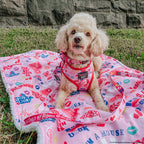Adjustable Dog Harness product image 12