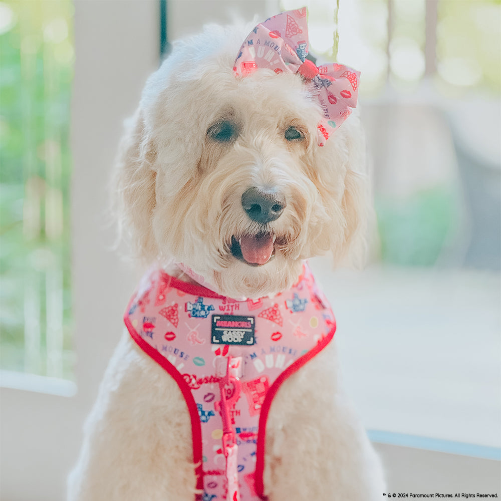 Adjustable Dog Harness product image 13