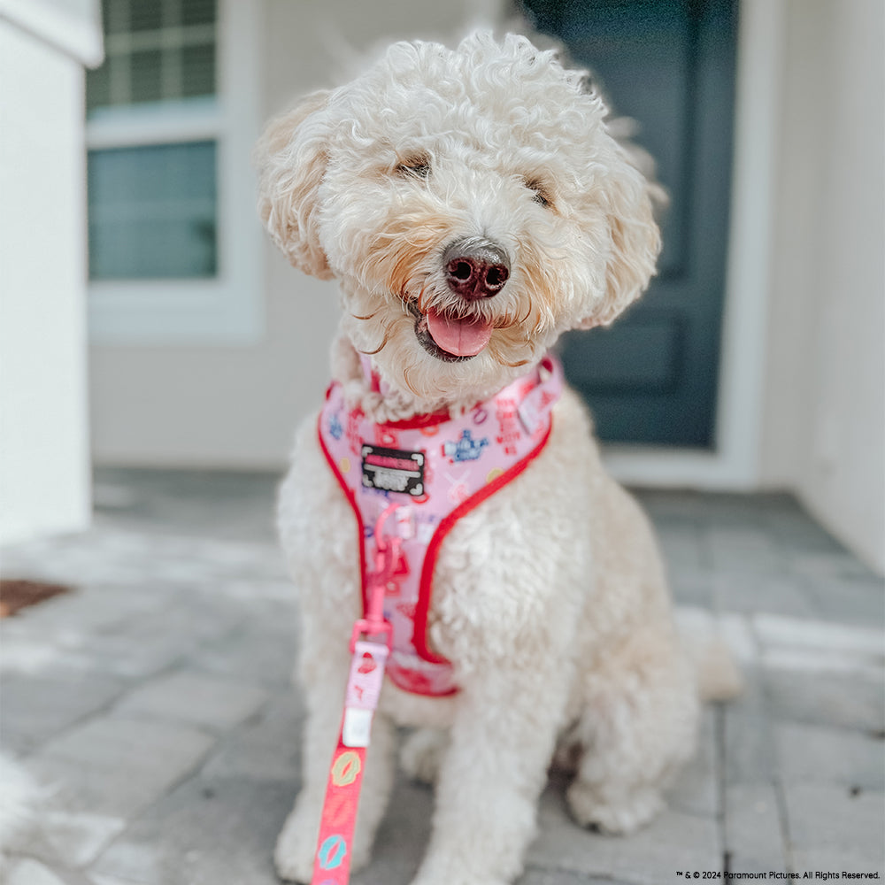 Adjustable Dog Harness product image 16