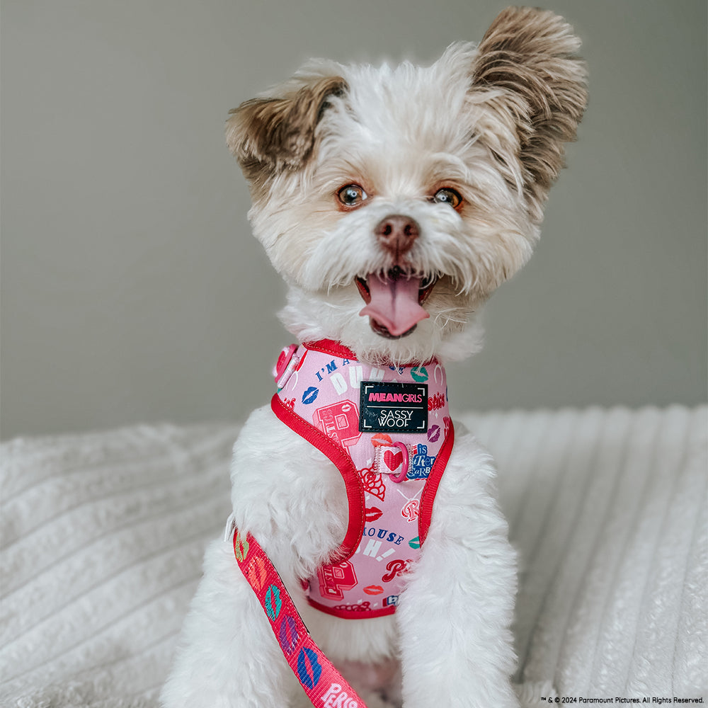 Adjustable Dog Harness product image 17