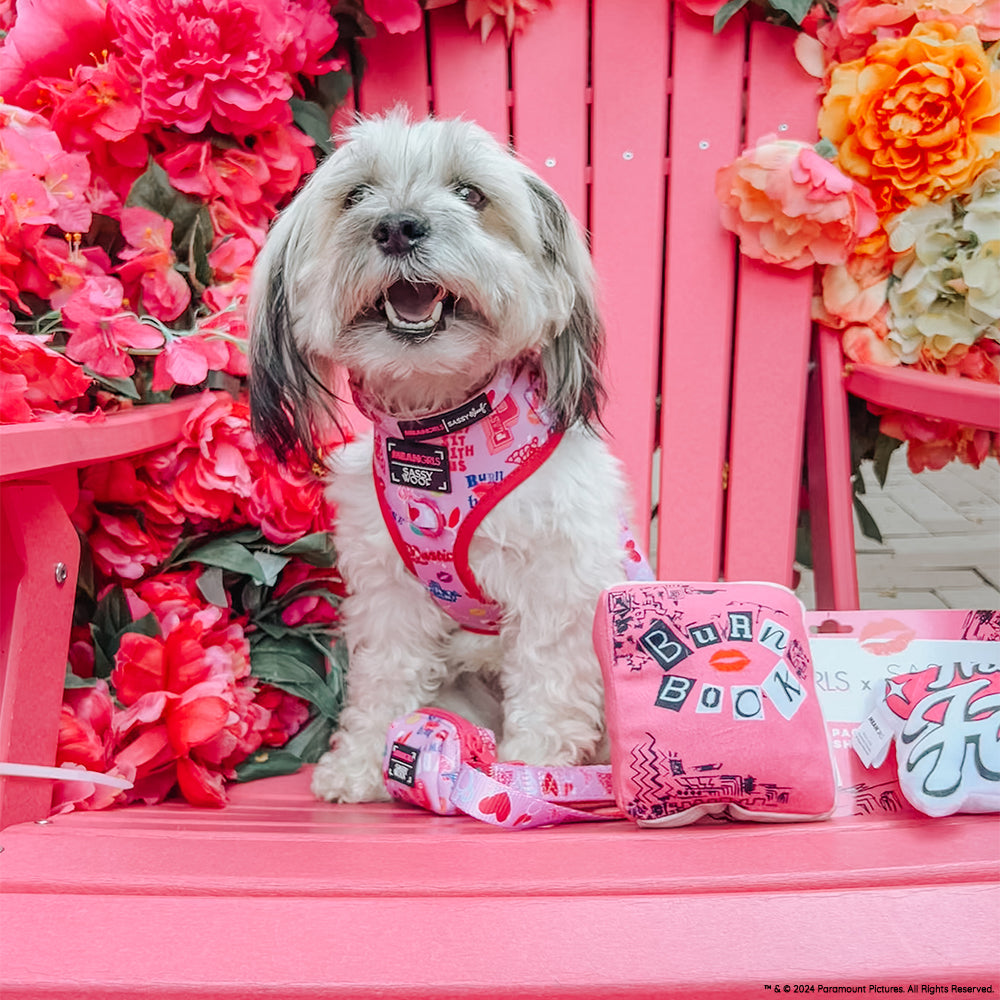 Adjustable Dog Harness product image 18