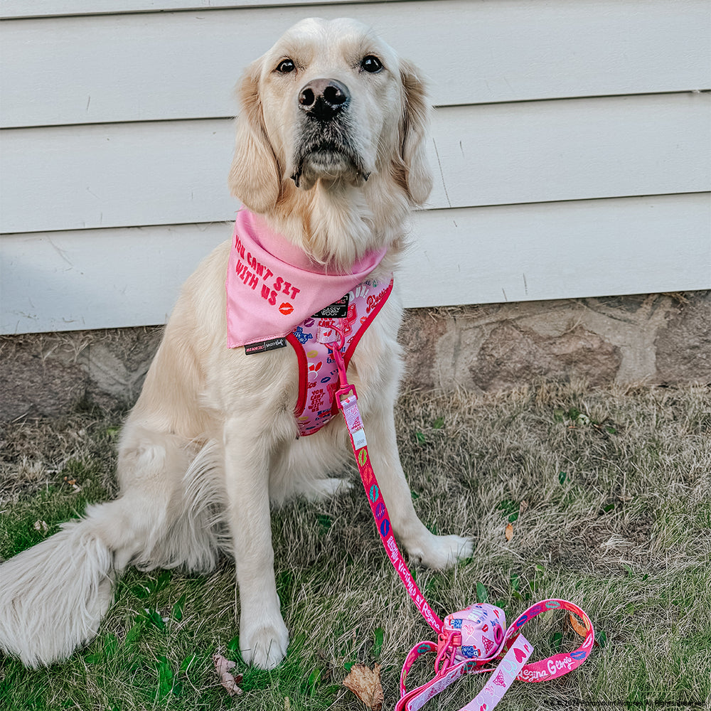 Adjustable Dog Harness product image 19
