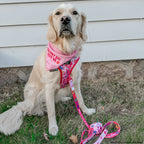 Adjustable Dog Harness product image 19