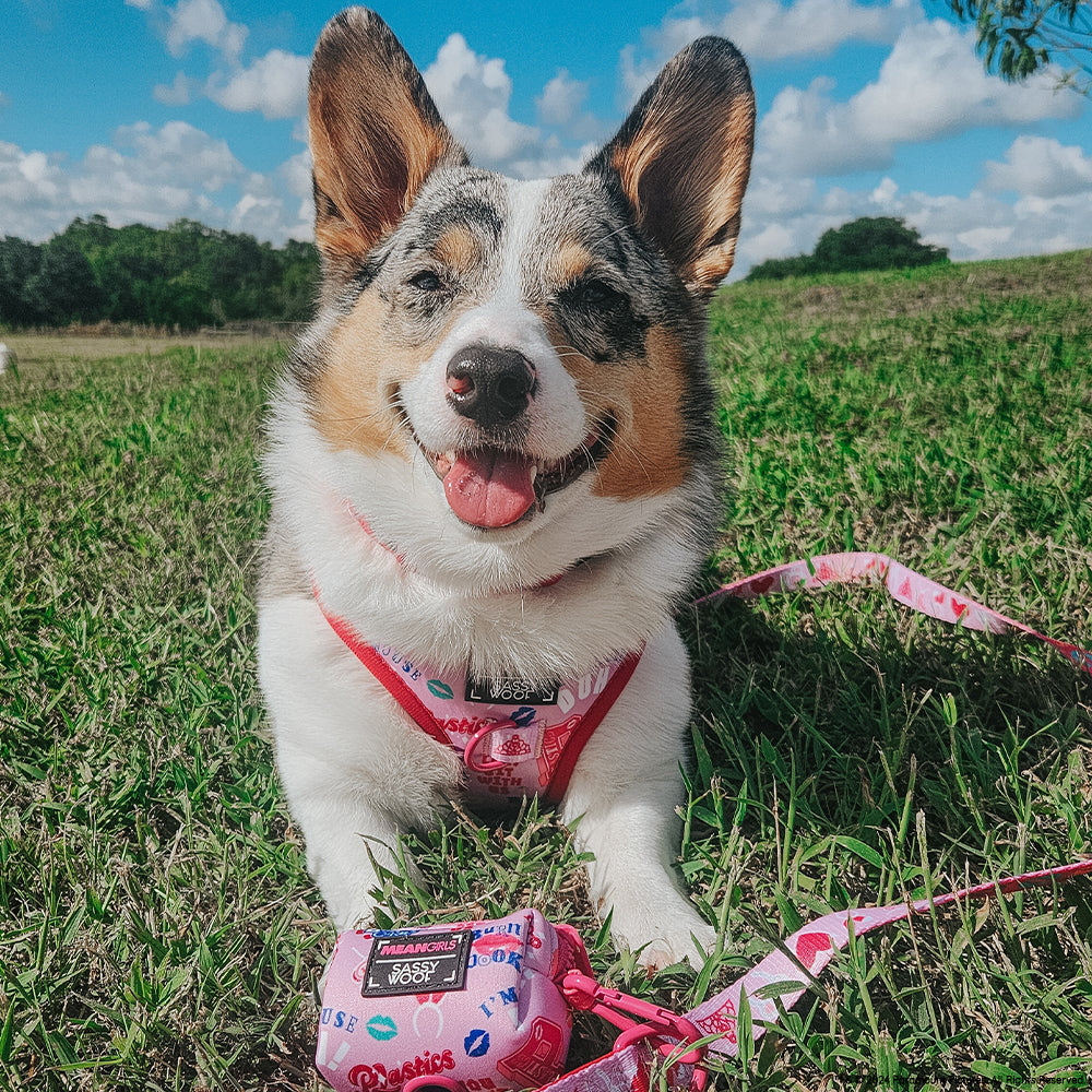 Adjustable Dog Harness product image 20