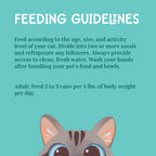 A teal graphic titled 'FEEDING GUIDELINES' with text about feeding a cat, including dosage based on body weight, plus a cartoon cat face at the bottom.
