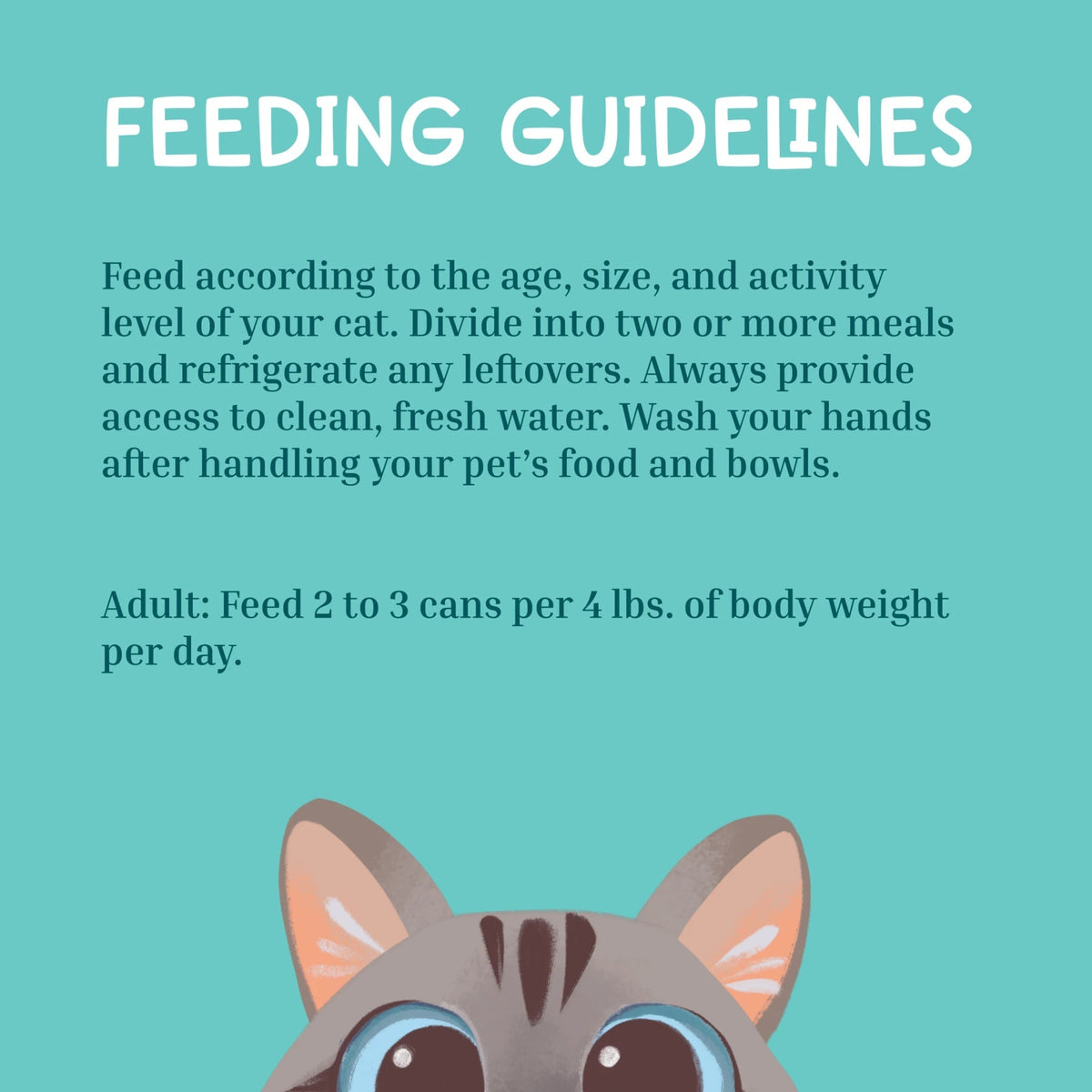 A teal graphic titled 'FEEDING GUIDELINES' with text about feeding a cat, including dosage based on body weight, plus a cartoon cat face at the bottom.