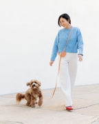 Hands-Free Dog Leash product image 4