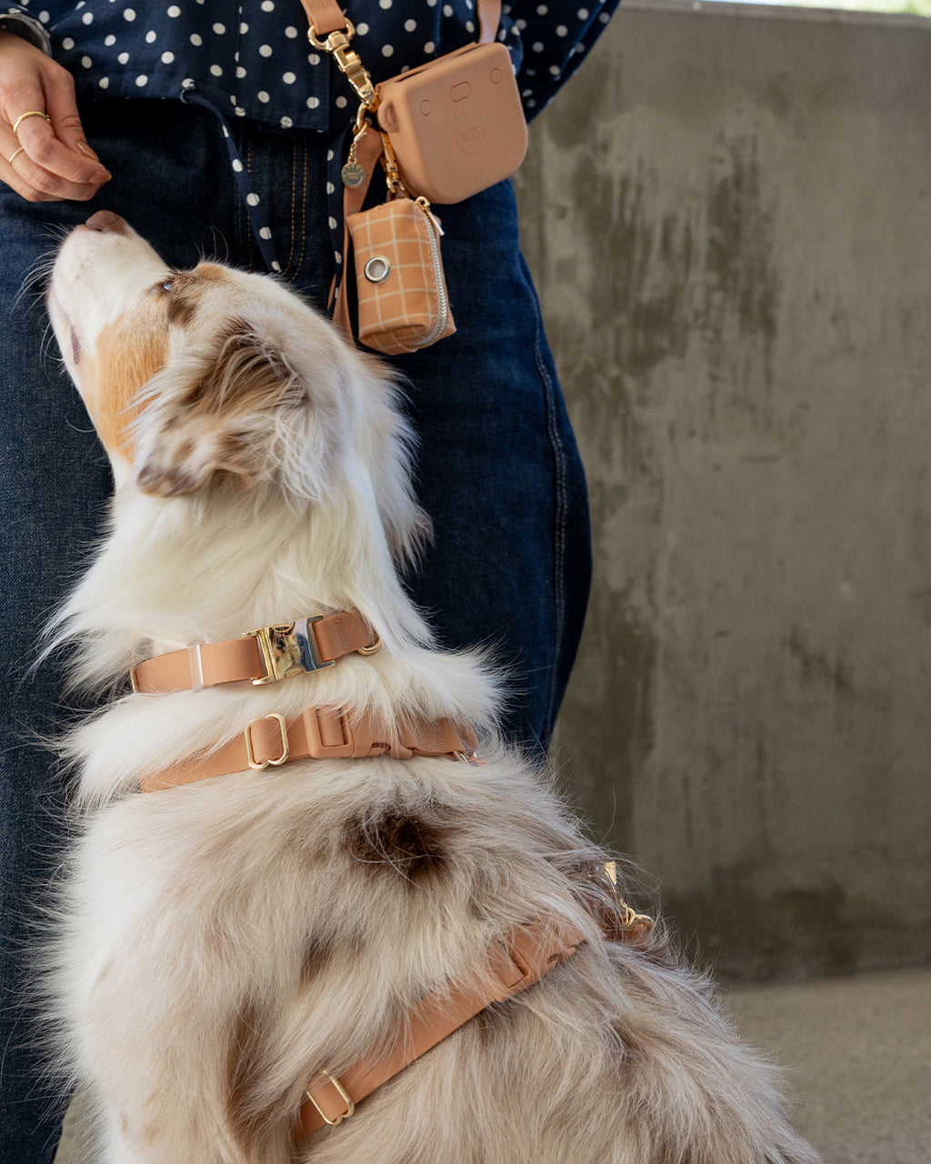 Hands-Free Dog Leash product image 5