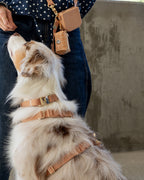 Hands-Free Dog Leash product image 5
