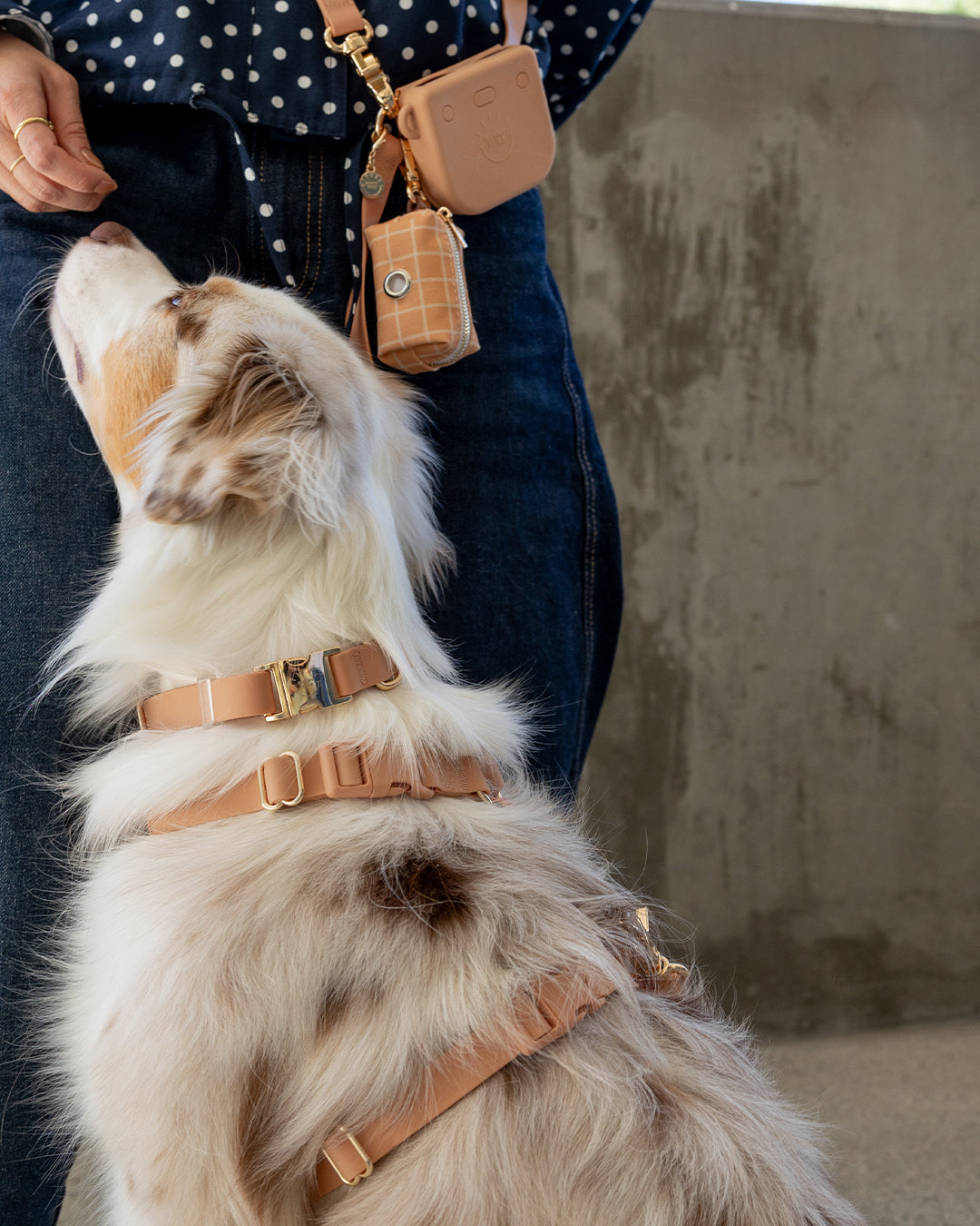 Hands-Free Dog Leash product image 5