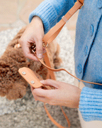 Hands-Free Dog Leash product image 9
