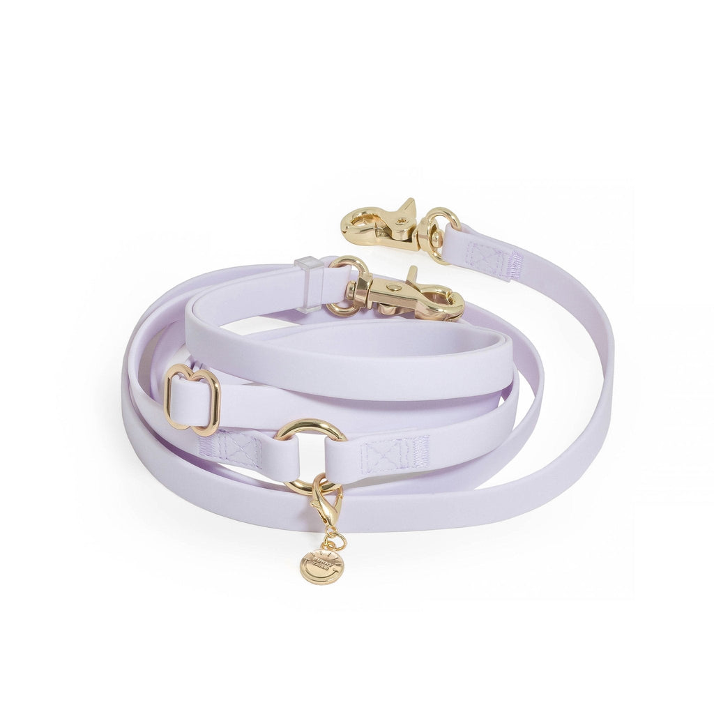 Hands-Free Dog Leash product image 1