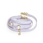 Hands-Free Dog Leash product image 1