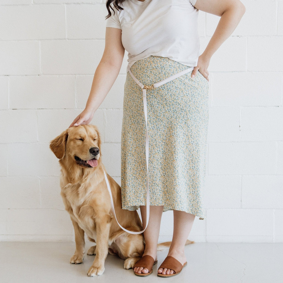 Hands-Free Dog Leash product image 2