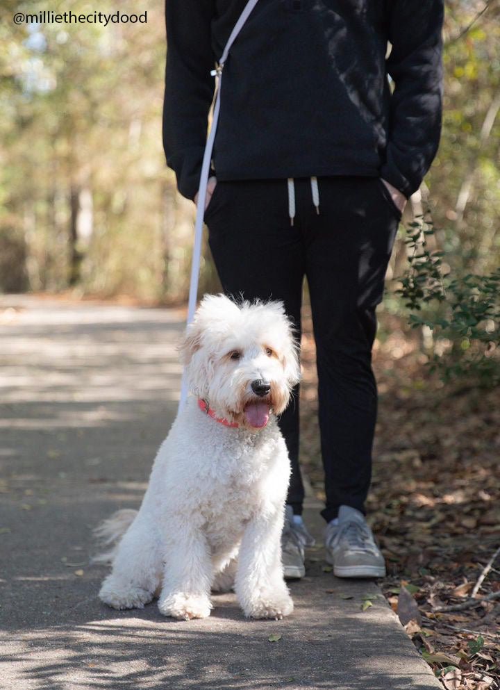 Hands-Free Dog Leash product image 6