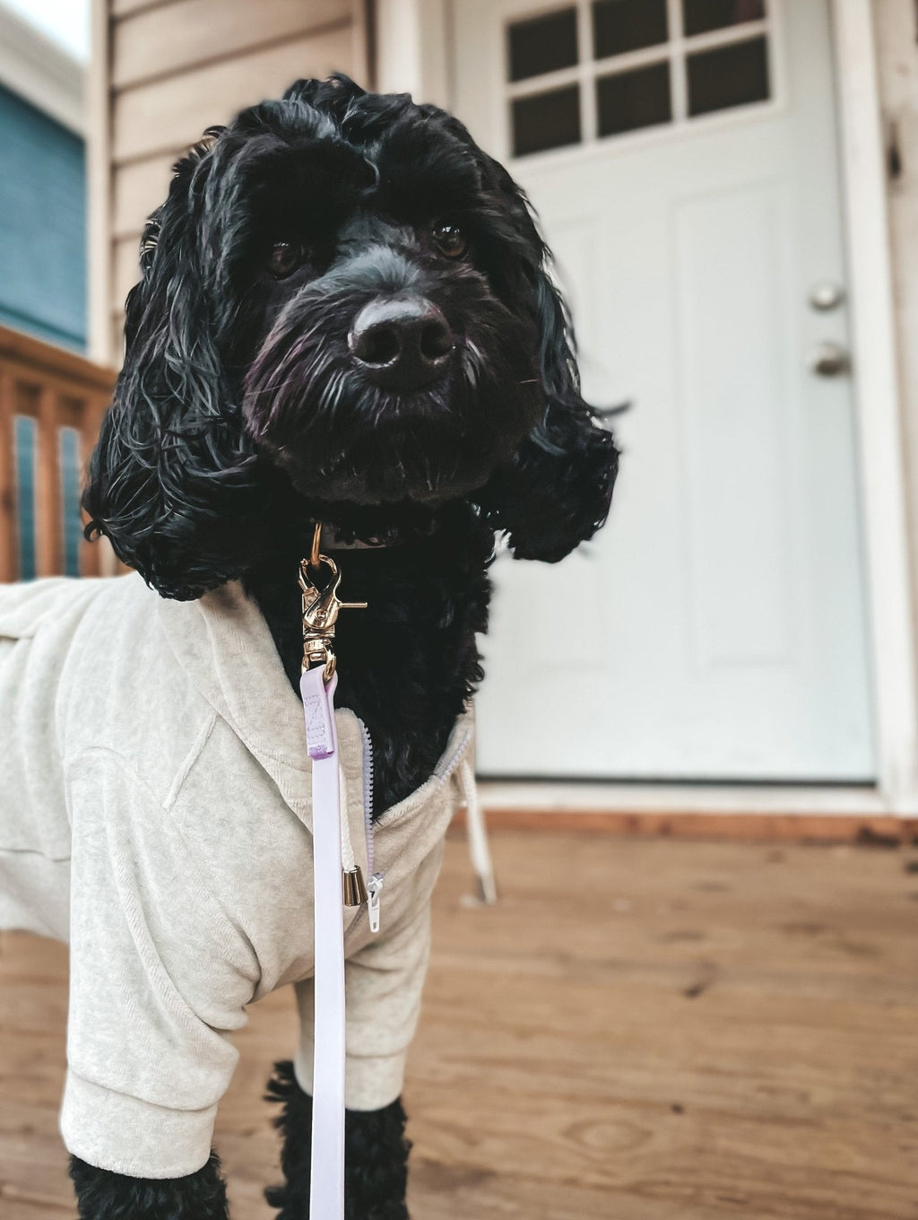 Hands-Free Dog Leash product image 8