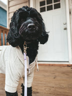 Hands-Free Dog Leash product image 8