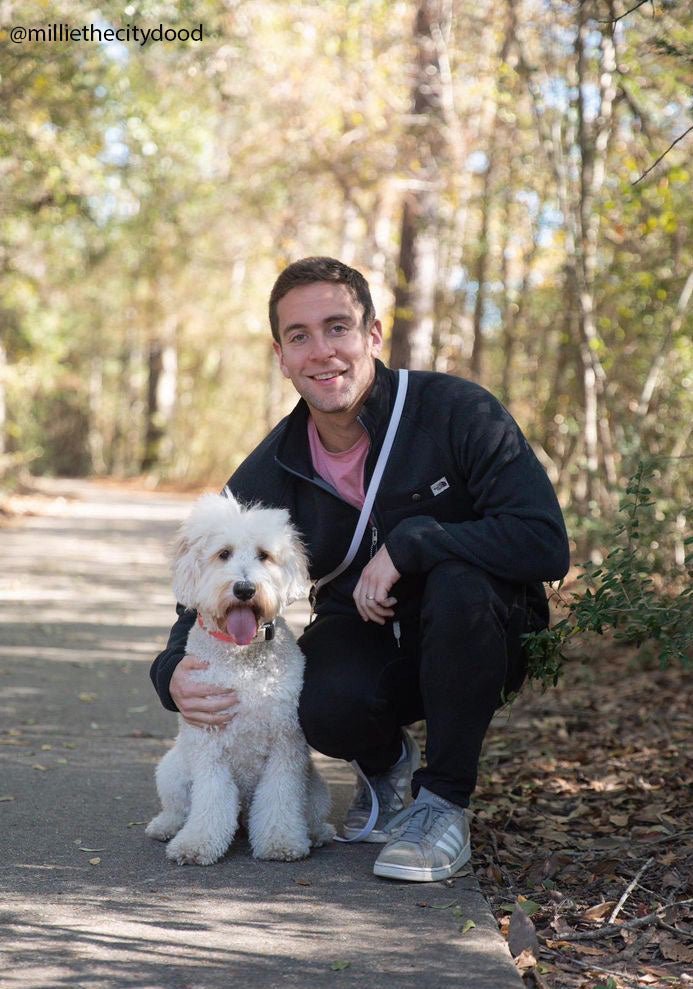 Hands-Free Dog Leash product image 9