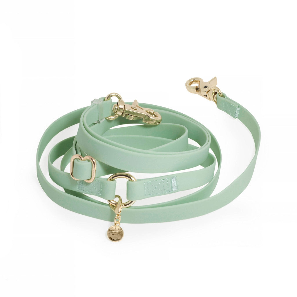 Hands-Free Dog Leash product image 1