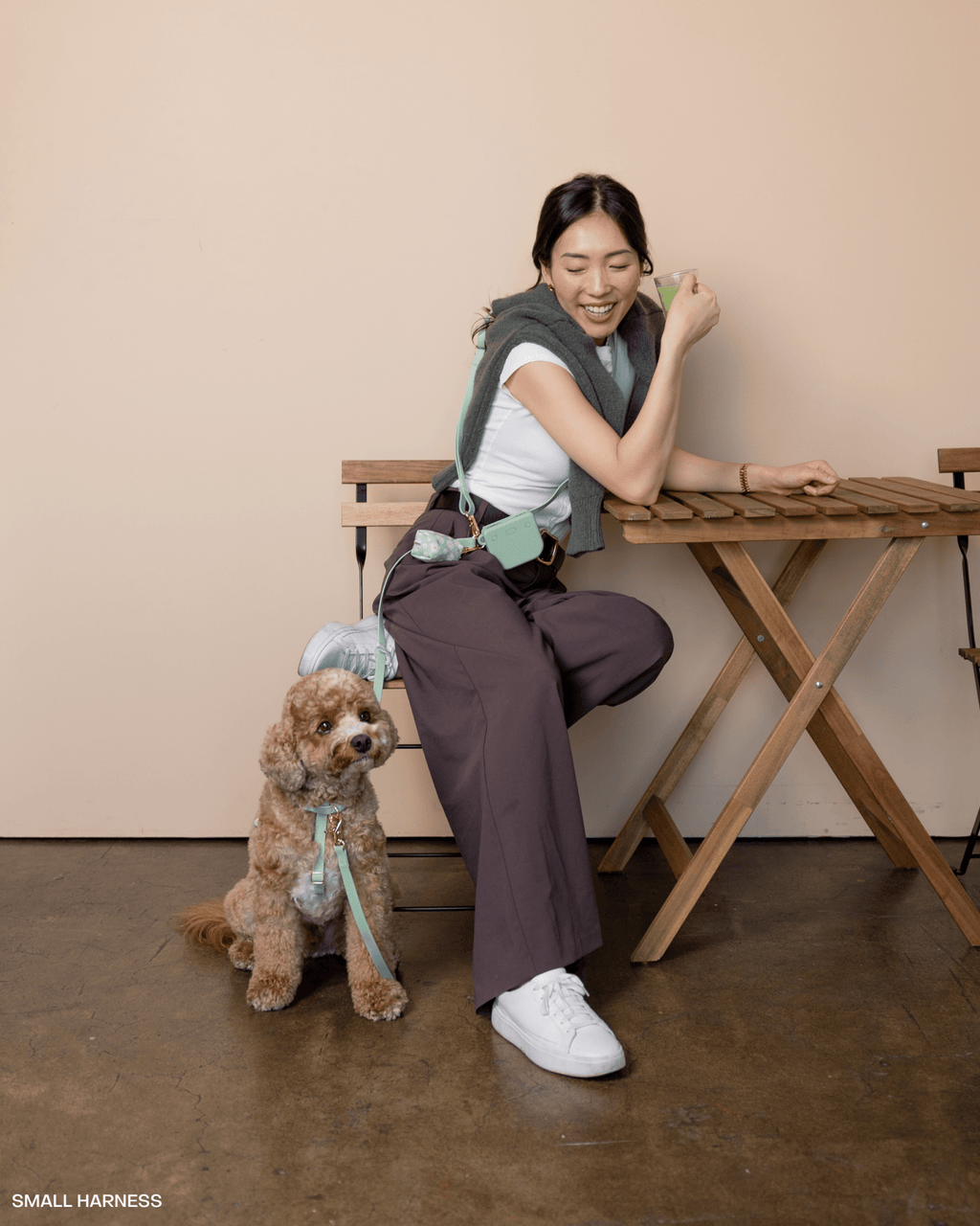 Hands-Free Dog Leash product image 3