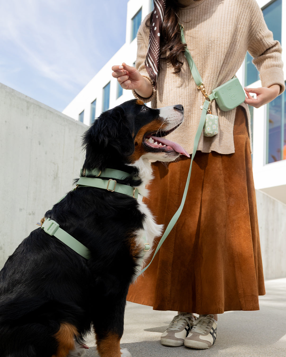 Hands-Free Dog Leash product image 6