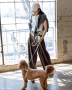 Hands-Free Dog Leash product image 8