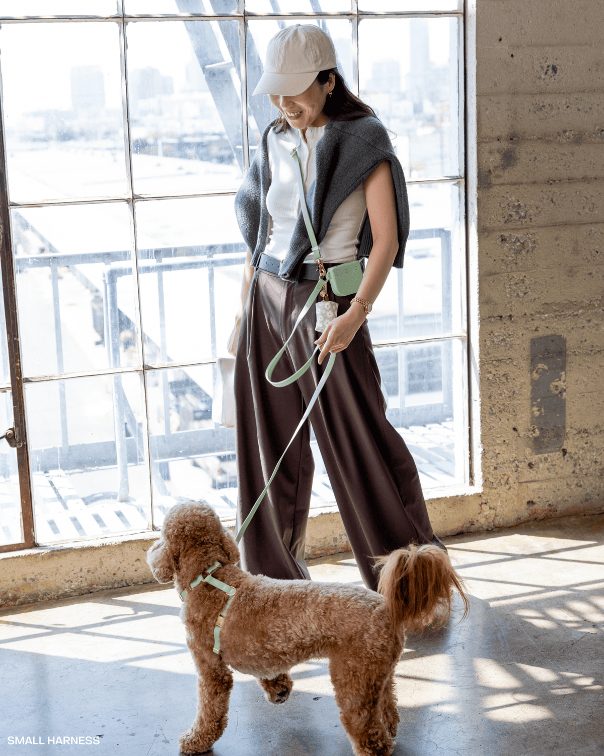 Hands-Free Dog Leash product image 8