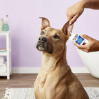 Pet Ear Solution product image 7