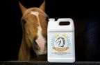 Equine Camelina Oil product image 4
