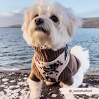 Adjustable Dog Harness product image 5