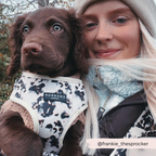 Adjustable Dog Harness product image 6