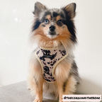 Adjustable Dog Harness product image 9
