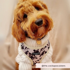 Adjustable Dog Harness product image 10