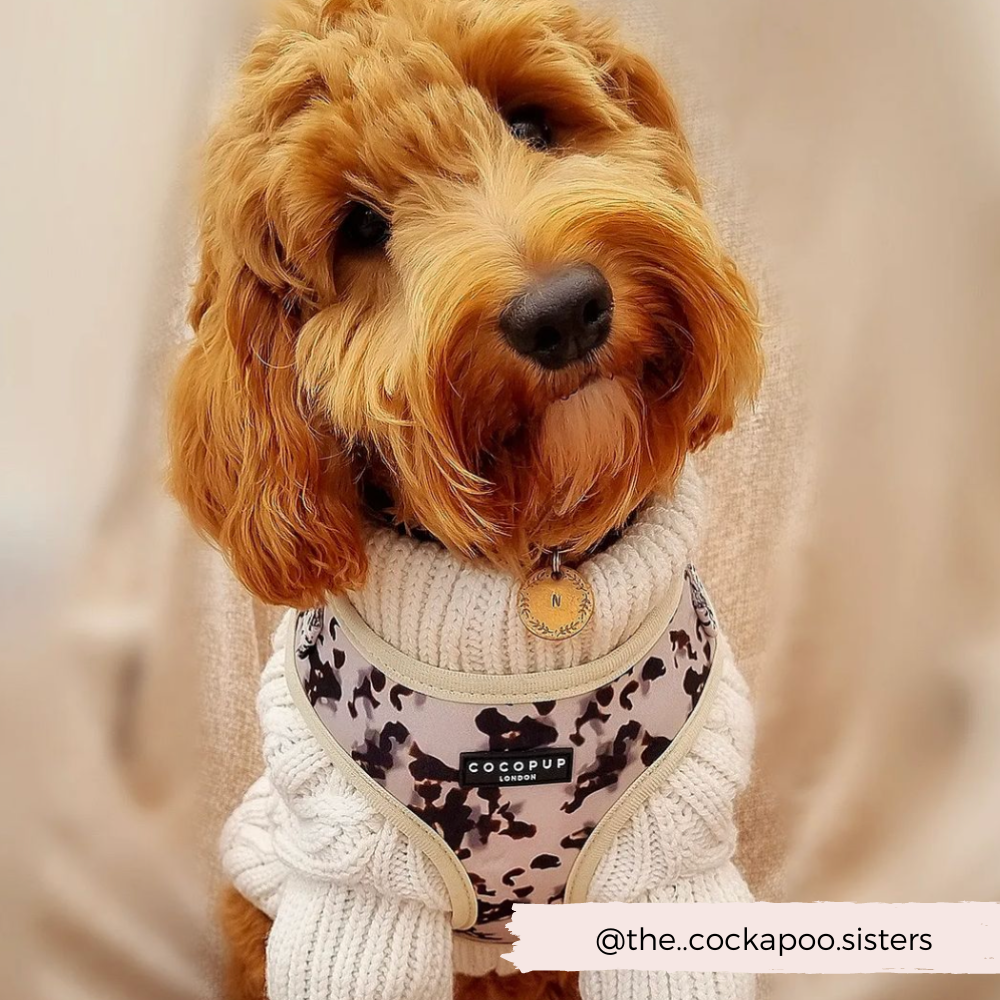 Adjustable Dog Harness product image 10