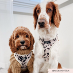 Adjustable Dog Harness product image 13