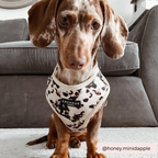 Adjustable Dog Harness product image 15