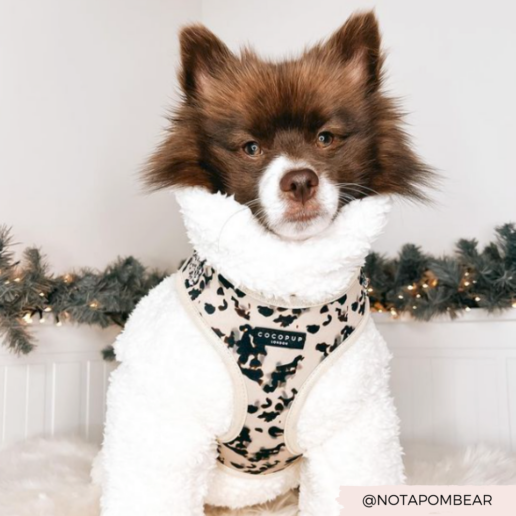 Adjustable Dog Harness product image 21