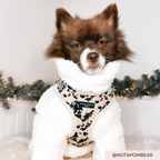 Adjustable Dog Harness product image 21