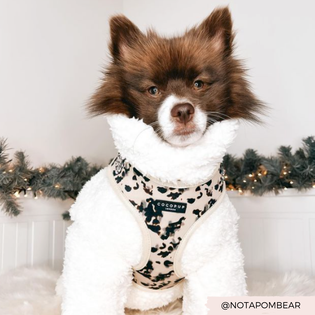 Adjustable Dog Harness product image 21