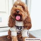 Adjustable Dog Harness product image 23