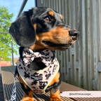 Adjustable Dog Harness product image 28