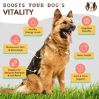 Dog Omega Oil Supplement product image 3