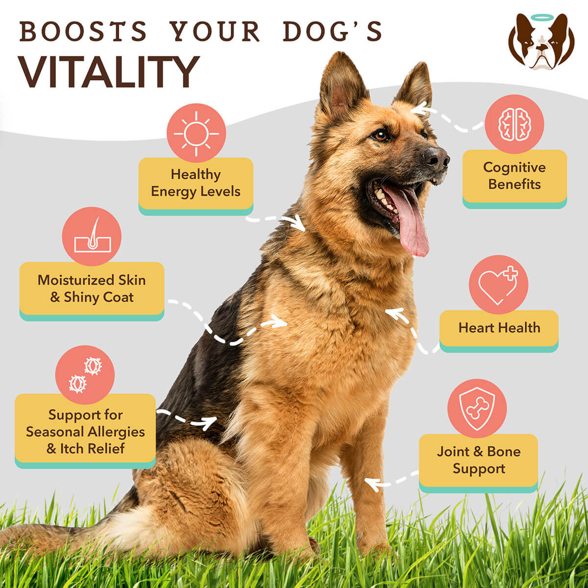 Dog Omega Oil Supplement product image 3