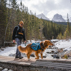 Dog Backpack product image 1