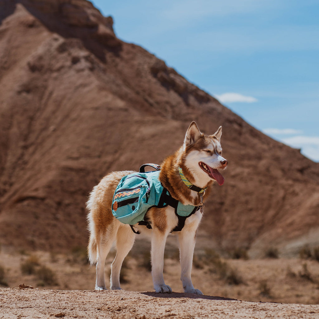 Dog Backpack product image 3